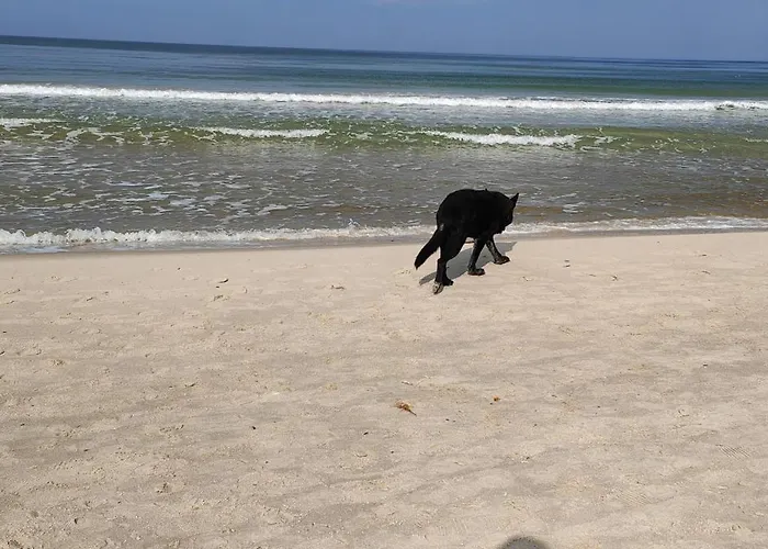 Apartment Mega Aqua Polanki Kolobrzeg